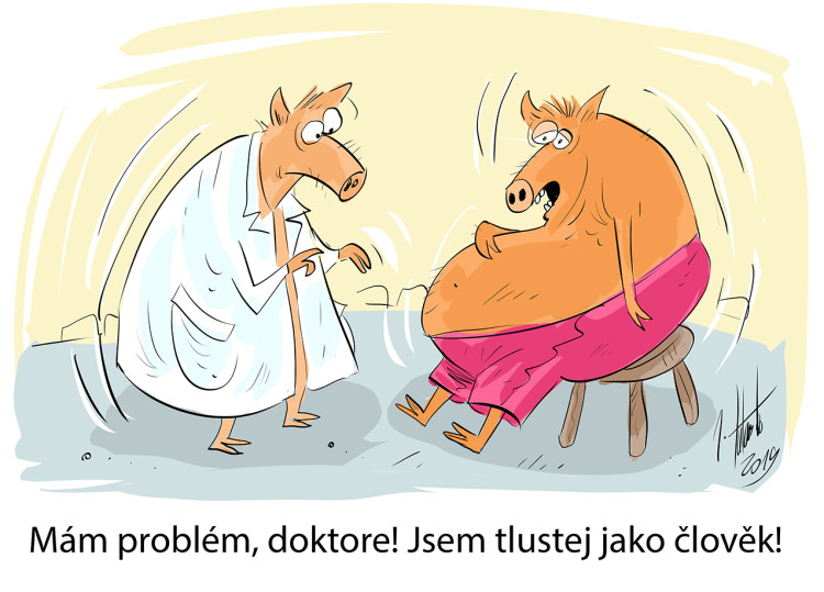 FOTOGALERIE: První v srpnu středa, humoru a legrace je třeba