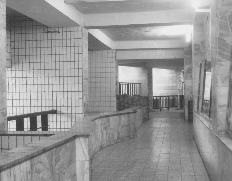 Ostravský pavilon Tanganika opět přístupný. I se stydlivými mangustami