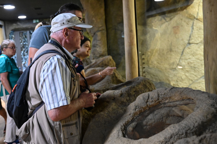 Ostravský pavilon Tanganika opět přístupný. I se stydlivými mangustami