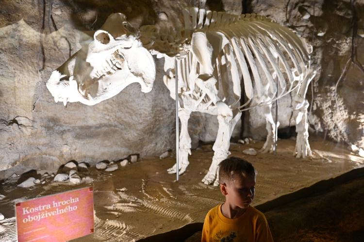Ostravský pavilon Tanganika opět přístupný. I se stydlivými mangustami