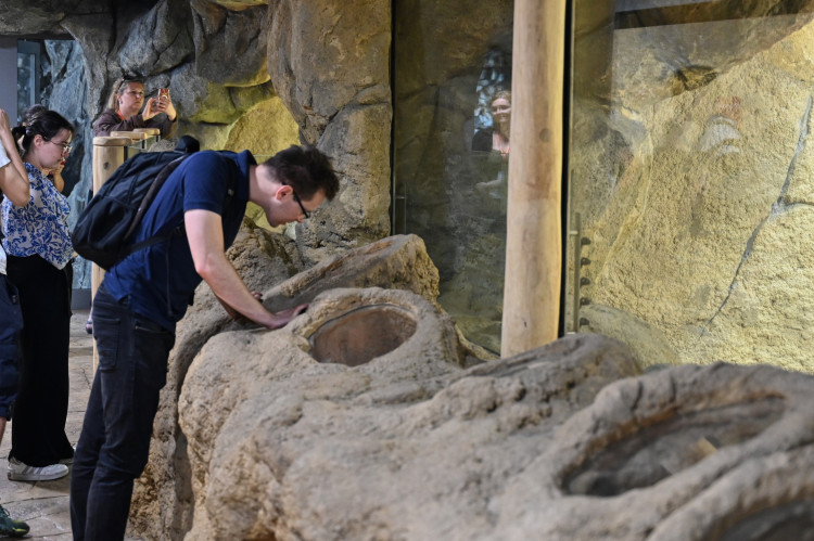 Ostravský pavilon Tanganika opět přístupný. I se stydlivými mangustami