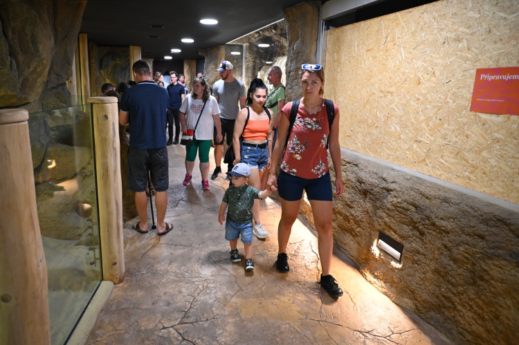 Ostravský pavilon Tanganika opět přístupný. I se stydlivými mangustami