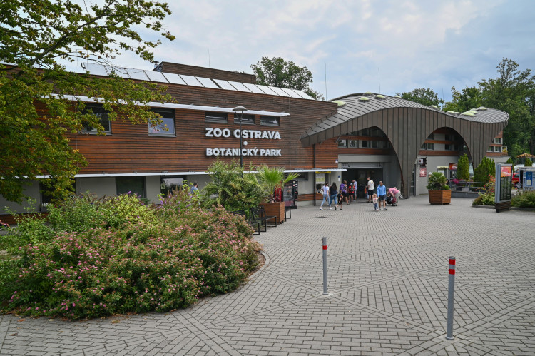 Ostravský pavilon Tanganika opět přístupný. I se stydlivými mangustami