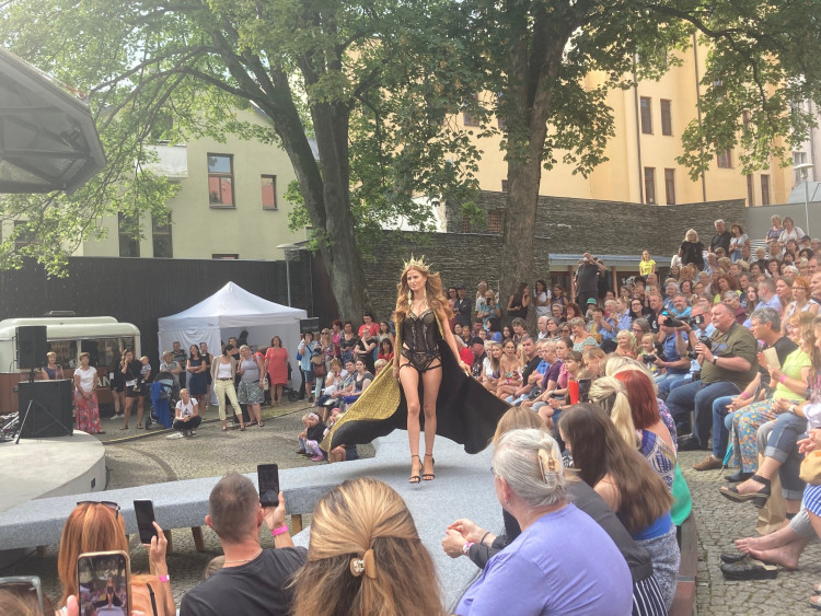 V Jablonci nad Nisou začala prodejní výstava Křehká krása 2024