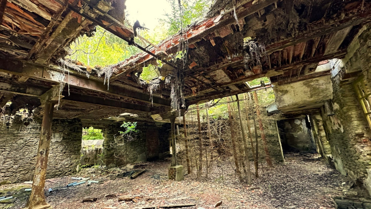 FOTOGALERIE: Urbex v bývalé šumavské papírně v Hamrech