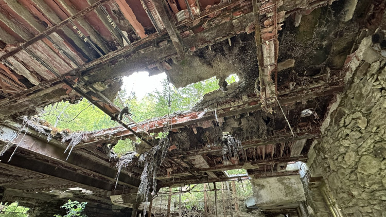 FOTOGALERIE: Urbex v bývalé šumavské papírně v Hamrech