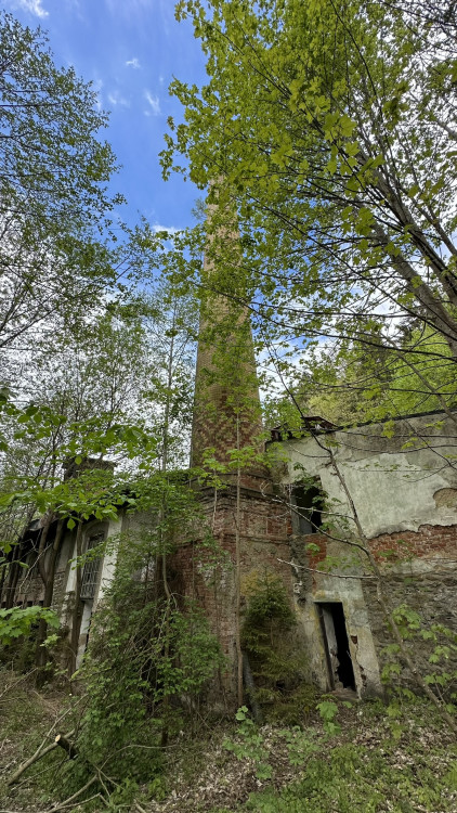 FOTOGALERIE: Urbex v bývalé šumavské papírně v Hamrech