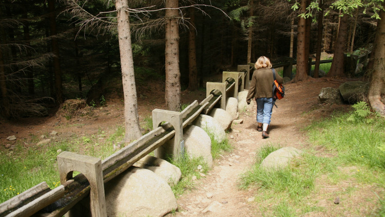 FOTOGALERIE: Hauswaldská kaple