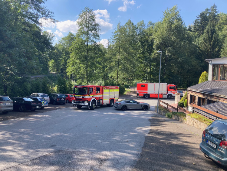 Mrtvé ryby v Harcovském potoce na přehradě. O ekologickou havárii naštěstí nešlo!