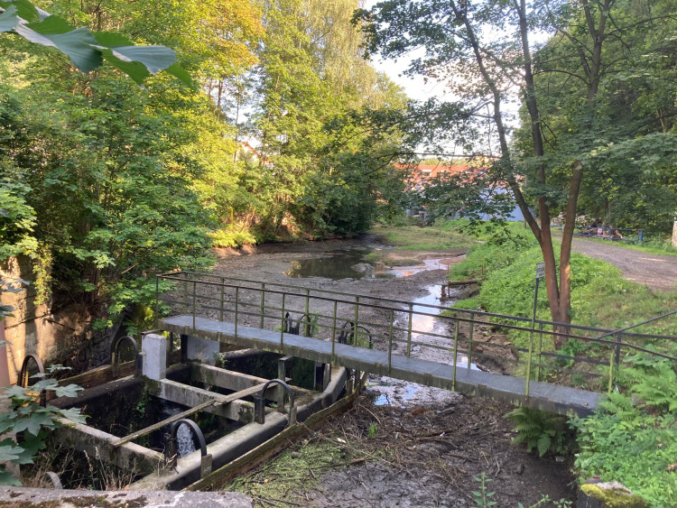 Mrtvé ryby v Harcovském potoce na přehradě. O ekologickou havárii naštěstí nešlo!