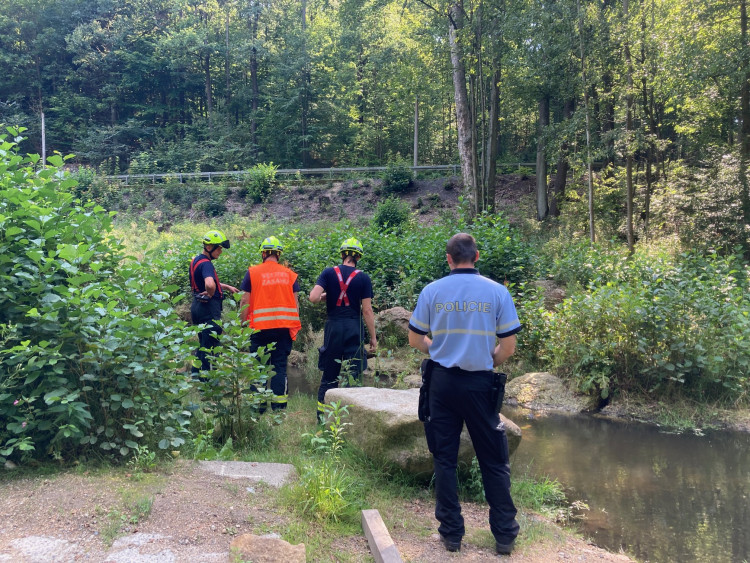 Mrtvé ryby v Harcovském potoce na přehradě. O ekologickou havárii naštěstí nešlo!