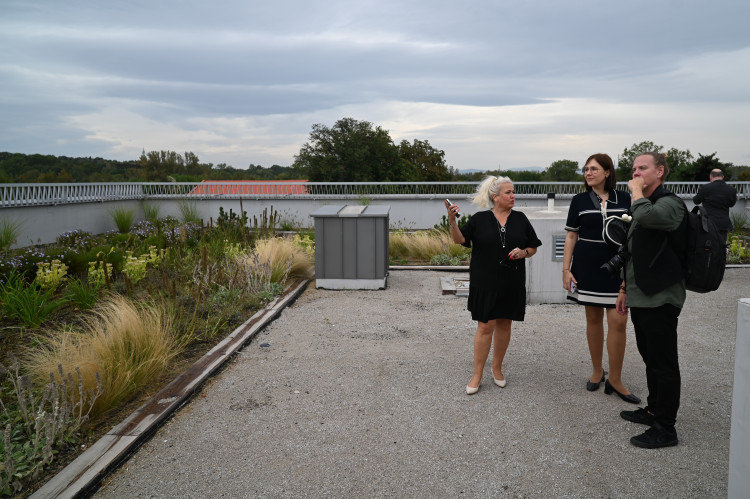 Nové Lauby zaplnily historické centrum Ostravy. Po 60 letech