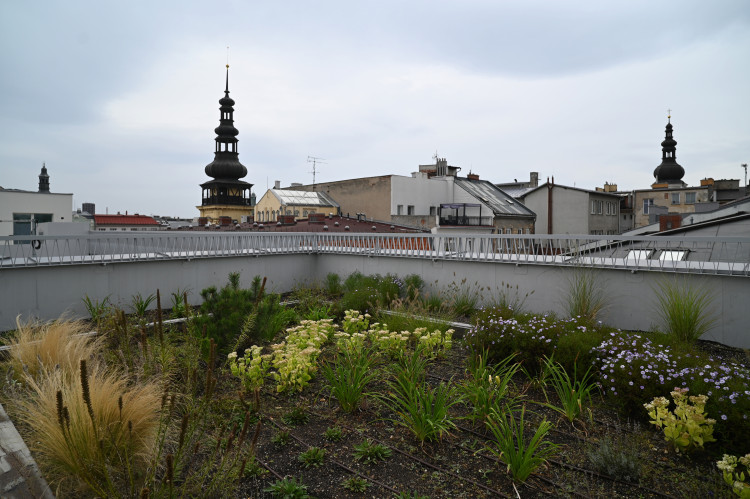 Nové Lauby zaplnily historické centrum Ostravy. Po 60 letech