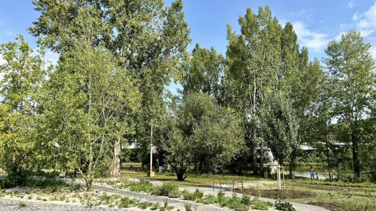 Z brownfieldu na břehu Vltavy místo pro odpočinek. Podívejte se, jak vypadala proměna Parku U Vody