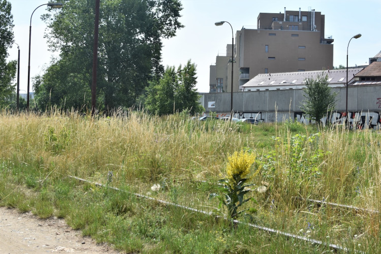 Místo v červnu 2023.