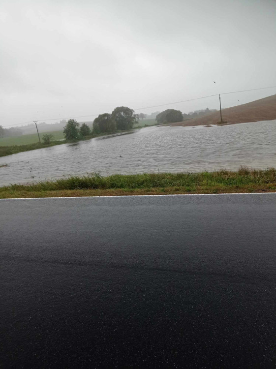 Mezi Rohoznou a Batelovem na Jihlavsku, foto: Lenka Dvořáková