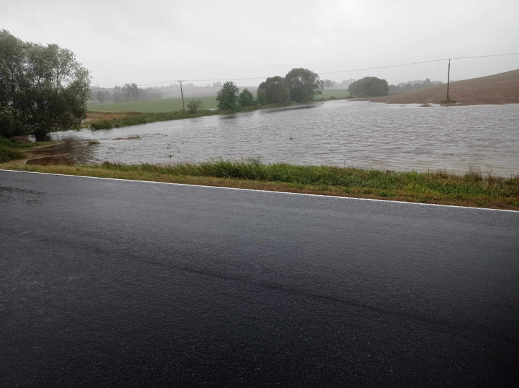 Mezi Rohoznou a Batelovem na Jihlavsku, foto: Lenka Dvořáková