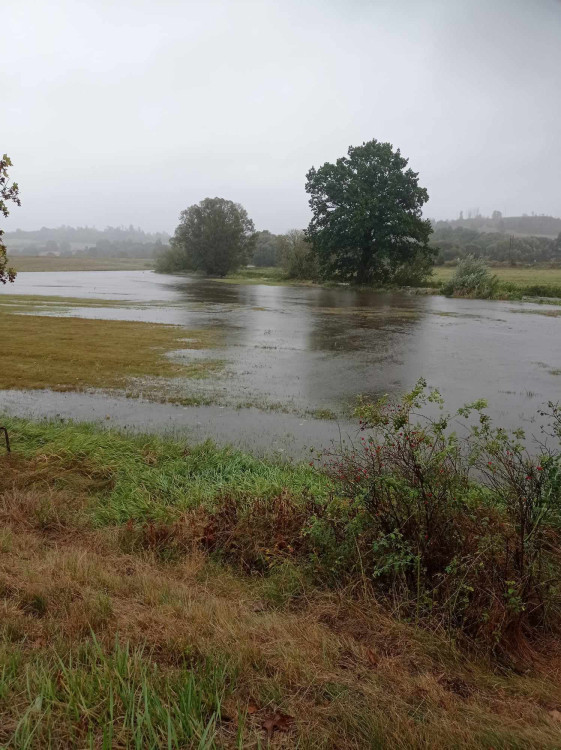 Spělov, foto: Lenka Dvořáková