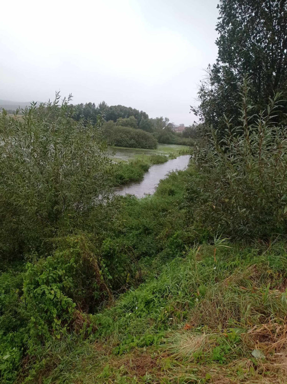 Dolní Cerekev, foto: Lenka Dvořáková