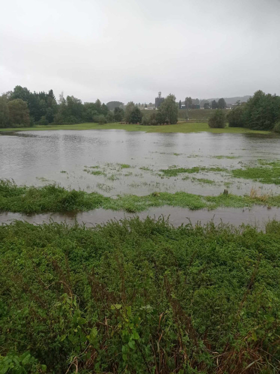 Dolní Cerekev, foto: Lenka Dvořáková