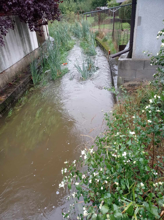 Dolní Cerekev, foto: Lenka Dvořáková