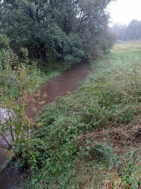 Dolní Cerekev, foto: Lenka Dvořáková