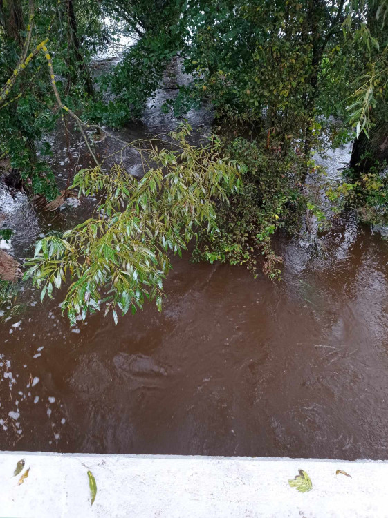 Spělov, foto: Lenka Dvořáková