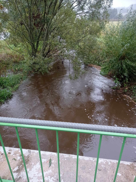 Spělov, foto: Lenka Dvořáková