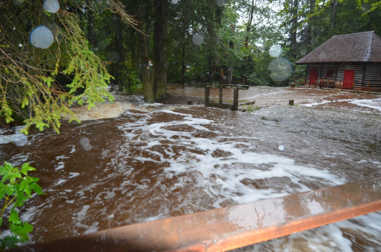 Dům přírody Brd v sobotu dopoledne, foto: Dům přírody Brd