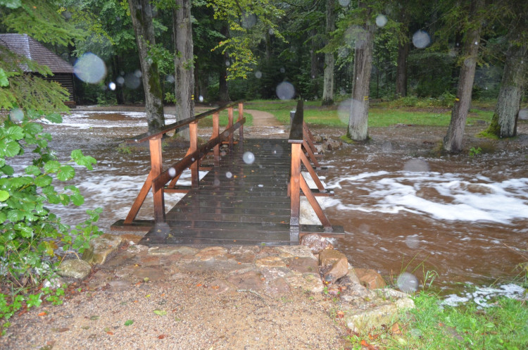Dům přírody Brd v sobotu dopoledne, foto: Dům přírody Brd