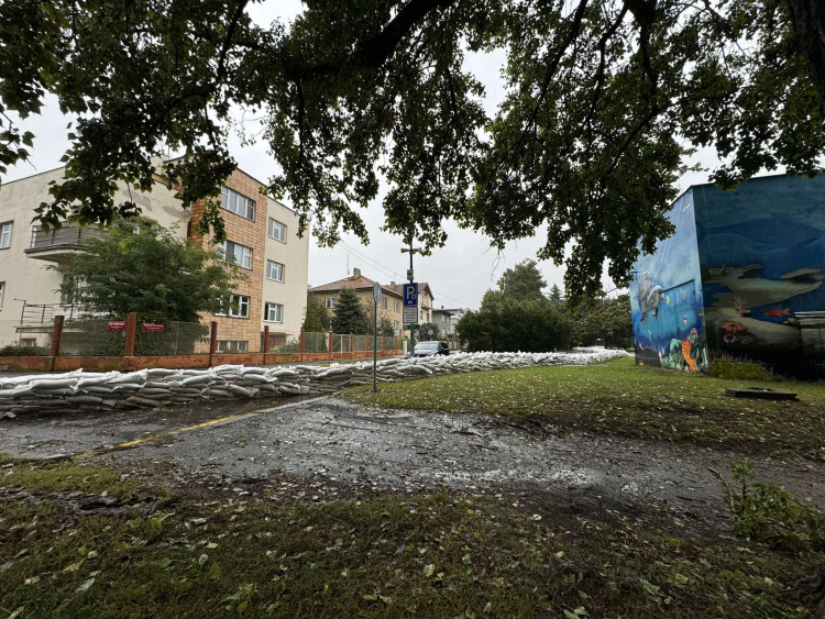 Malše v Českých Budějovicích.