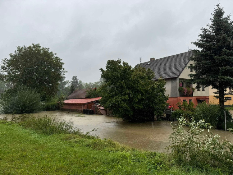 Malše v Plavě u Českých Budějovic.