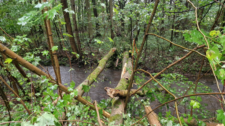 FOTOGALERIE: Hasiči zasahují v Olomouckém kraji kvůli větru a zvýšeným hladinám toků