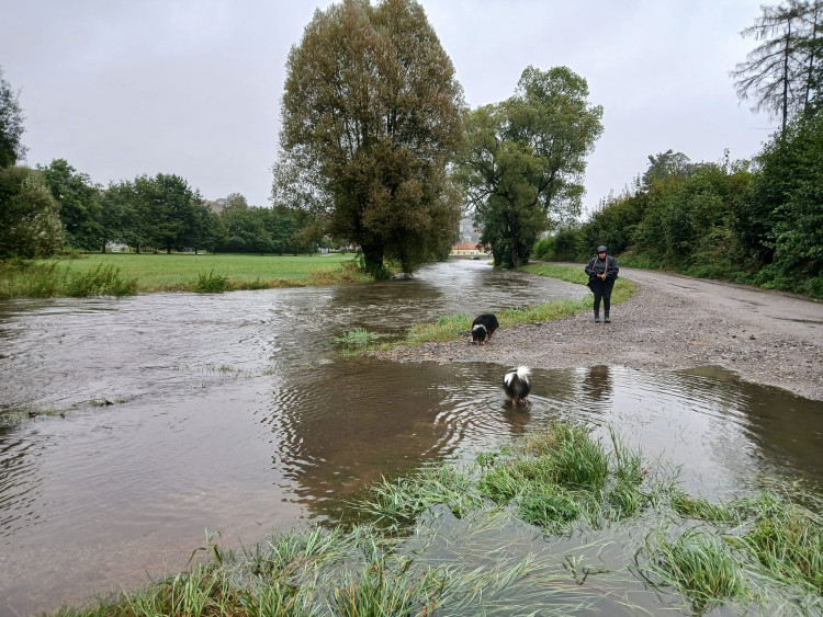 Luka nad Jihlavou, foto: Lukáš Böhm