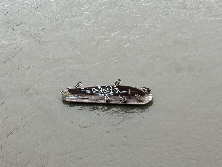 FOTOGALERIE: Prchající lodě, voda až u kobek a neposlušní lidé. Podívejte se, jak to v sobotu vypadalo na pražských náplavkách