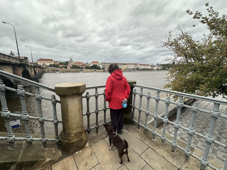 FOTOGALERIE: Prchající lodě, voda až u kobek a neposlušní lidé. Podívejte se, jak to v sobotu vypadalo na pražských náplavkách