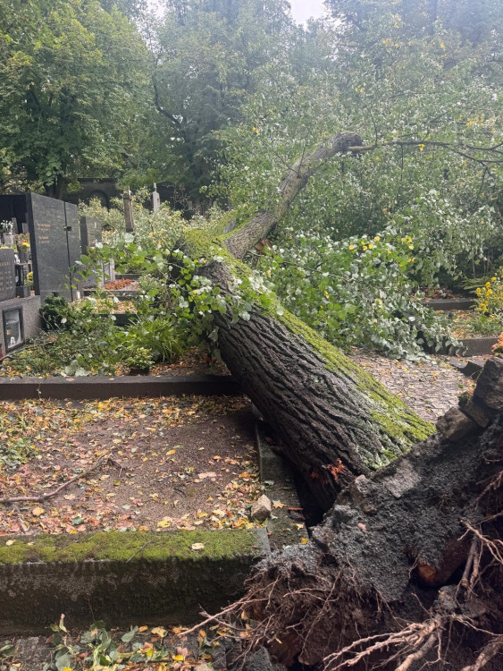 Třebíč, foto: Město Třebíč