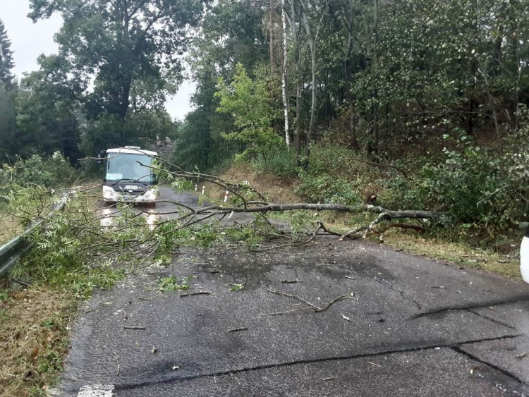 Hasiči z Kraje Vysočina, foto: HZS Kraje Vysočina