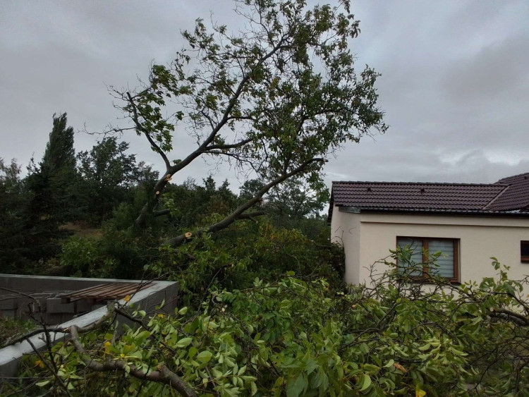 Hasiči z Kraje Vysočina, foto: HZS Kraje Vysočina