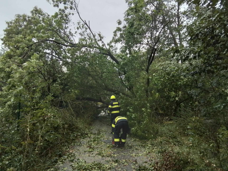Hasiči z Kraje Vysočina, foto: HZS Kraje Vysočina