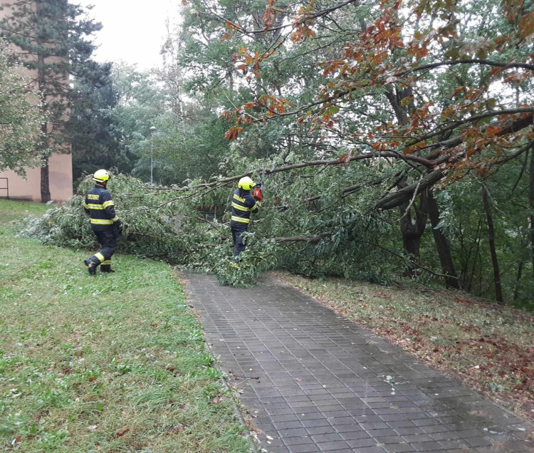 Hasiči z Kraje Vysočina, foto: HZS Kraje Vysočina
