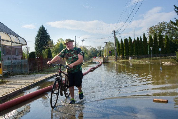 Kočky v muzeu v Bohumíně už nedohráli. Film vystřídala záplava