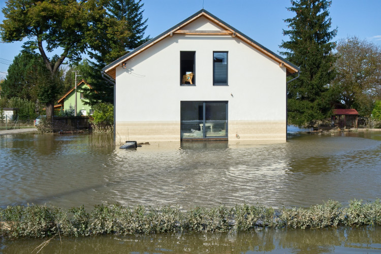 Kočky v muzeu v Bohumíně už nedohráli. Film vystřídala záplava