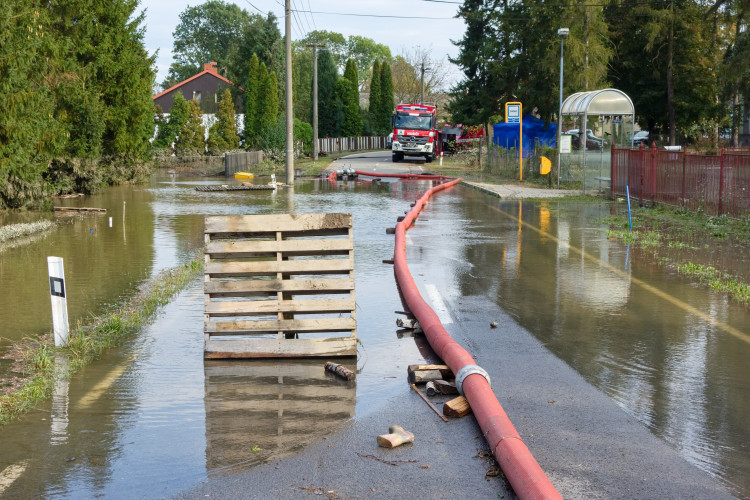 Kočky v muzeu v Bohumíně už nedohráli. Film vystřídala záplava