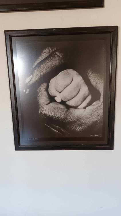 FOTOGALERIE: Výstava fotografií Jana Saudka na Plumlově