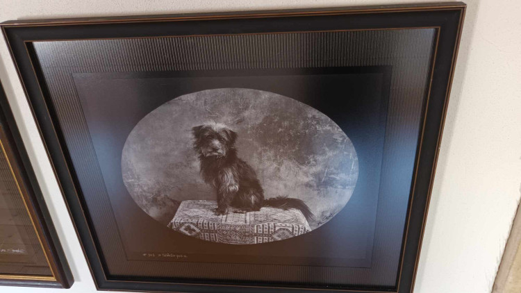 FOTOGALERIE: Výstava fotografií Jana Saudka na Plumlově