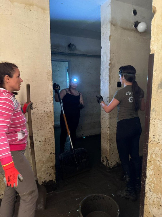 FOTO: Dobrovolníci z Farmaparku u Toma pomáhají na povodněmi zasažené Moravě