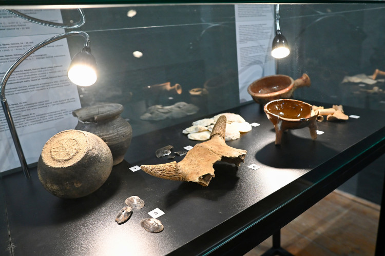 Jícha na bobří ocas a další laskominy. Středověké jídlo na Slezskoostravském hradě