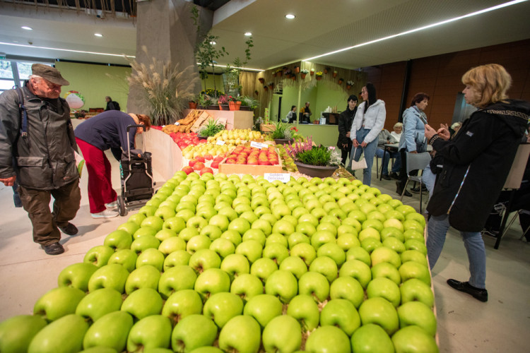 FOTOGALERIE: Barvy a vůně podzimu. V Olomouci začala oblíbená výstava Flora