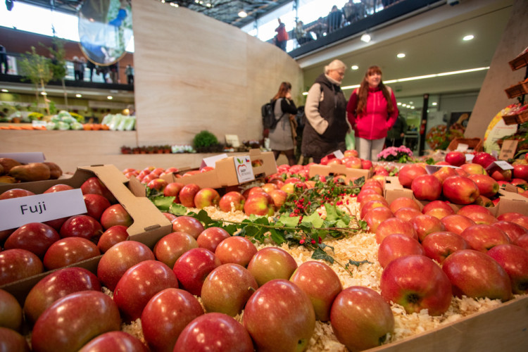 FOTOGALERIE: Barvy a vůně podzimu. V Olomouci začala oblíbená výstava Flora